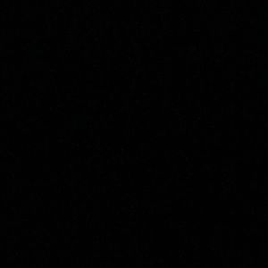 Meet your Posher, Kylahni